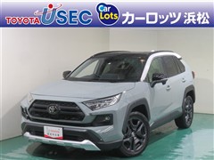 RAV4 アドベンチャー 4WD