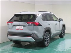 RAV4 アドベンチャー 4WD