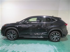 NX300h Fスポーツ