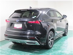 NX300h Fスポーツ
