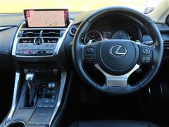 NX300h スパイス&シック