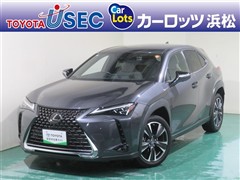 UX250h バージョンL