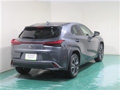 UX250h バージョンL