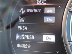 IS500 Fスポパフォーマンス