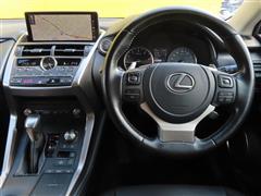 NX300 スパイス&シック ターボ