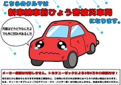 GRヤリス RZ ヒョウガイ