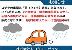 GRヤリス RZ ヒョウガイ