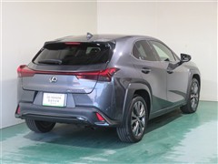 UX250h Fスポーツ 4WD