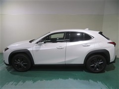 UX250h バージョンC