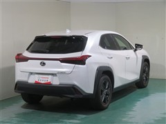 UX250h バージョンC