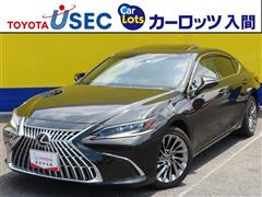ES300h グレイスフル エスコート