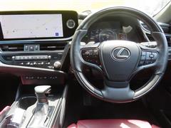 ES300h グレイスフル エスコート