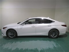 ES300h グレイスフル エスコート