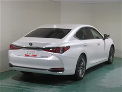 ES300h グレイスフル エスコート