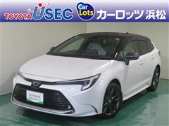 トヨタ カローラツーリング WxB