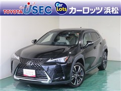 UX250h バージョンL