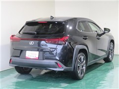 UX250h バージョンL