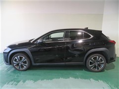 UX250h バージョンL