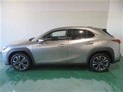 UX250h バージョンL