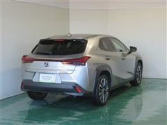 UX250h バージョンL