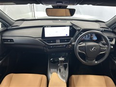 UX250h バージョンC