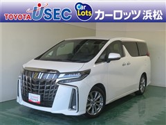トヨタ アルファードS タイプゴールド3