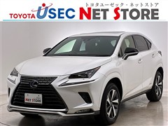 NX300h スパイス&シック
