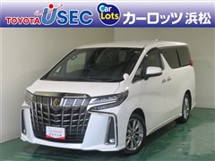 アルファードSタイプゴールド2