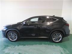 NX350h バージョンL