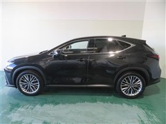 NX350h バージョンL