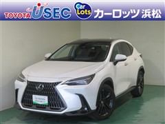 NX350h バージョンL