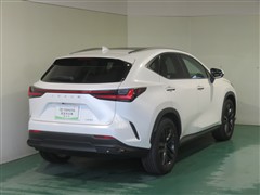 NX350h バージョンL