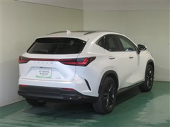 NX350h バージョンL