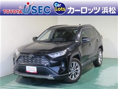 RAV4 G Zパッケージ