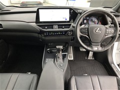 UX250h Fスポエモ Exp