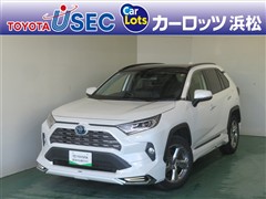RAV4 ハイブリッドG 4WD