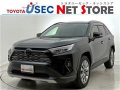 RAV4 G Zパッケージ