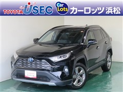 RAV4 ハイブリッドG