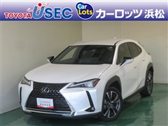 UX250h バージョンL