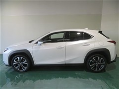 UX250h バージョンL