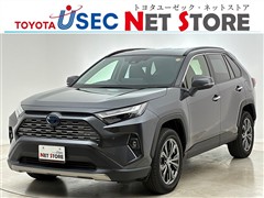 RAV4 HEV G