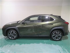UX250h バージョンL