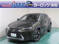 UX250h バージョンL