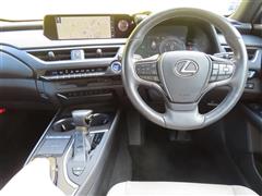 UX250h バージョンL