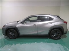 UX250h バージョンC