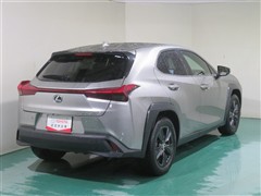 UX250h バージョンC