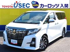 アルファードS AパケタイプBL