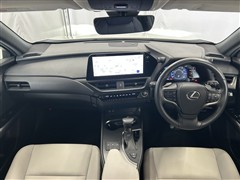 UX250h バージョンC