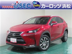 NX200t ヒョウジュンシャ