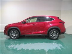 NX200t ヒョウジュンシャ